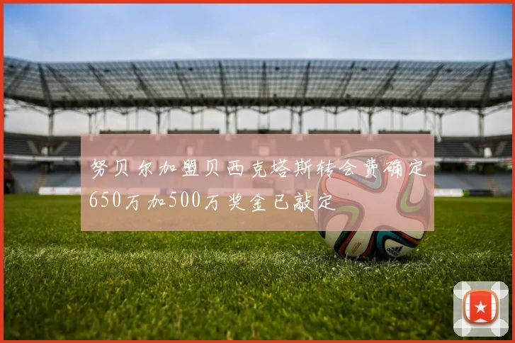 努贝尔加盟贝西克塔斯转会费确定650万加500万奖金已敲定