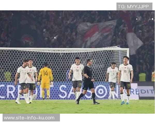 挪威冲击世界杯资格只需战胜以色列并寄望意大利失利